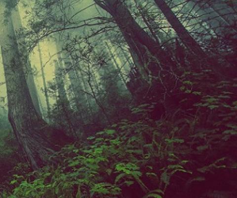 Credit: CC0 Public Domain