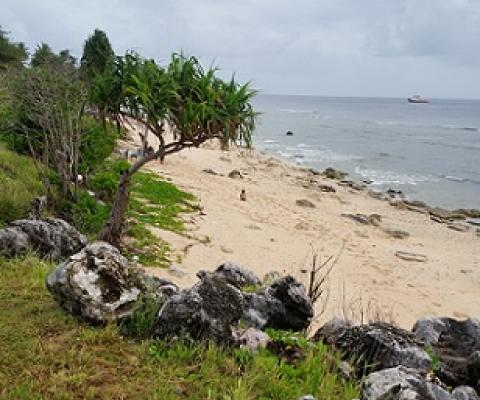 Credit - V. Jungblut