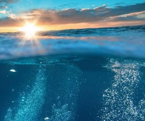 A 3D approach to protecting biodiversity on the high seas by University of Queensland. Credit: University of Queensland