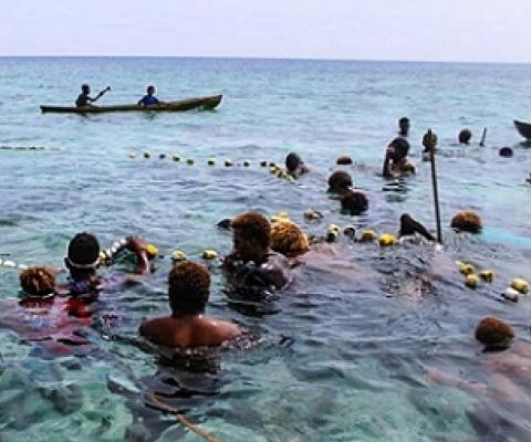 In various coastal villages around Solomon Islands, the use of passive devices were used in the past. Photo: Ronald F. Toito’ona