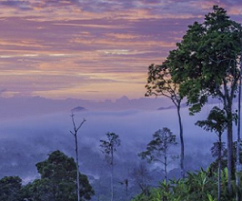 Papua New Guinea. Photo credit: DOZIER Marc / hemis.fr