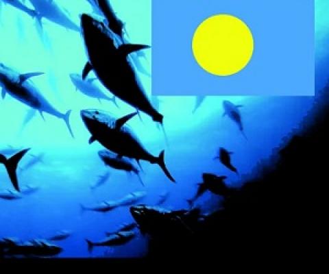 Palau national marine sanctuary. Credit - Leilani Reklai, https://islandtimes.org/