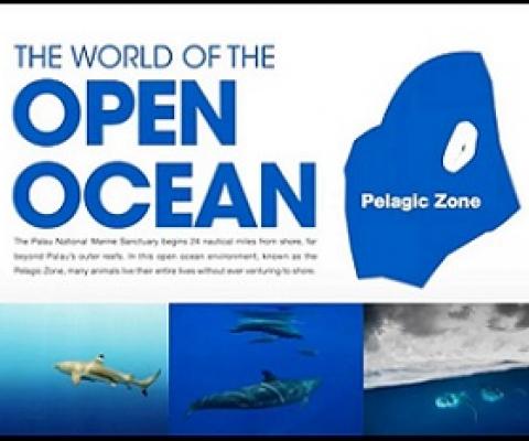 Credit - https://islandtimes.org/