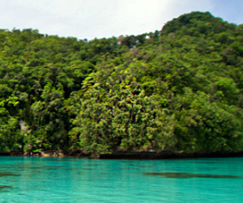 Ngeanges Island, Palau. Credit - https://www.islandconservation.org