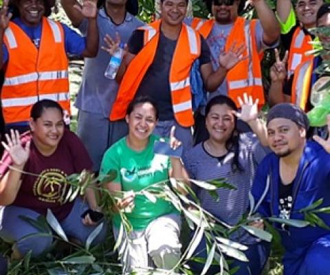 The team involved in the Rattan Raid holding the Rattan palms that were found at Papaseea. Credit - Samoa Conservation Society
