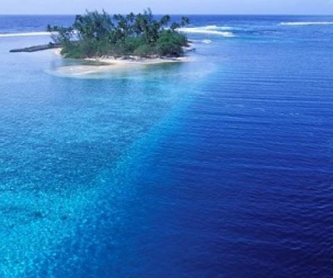 French Polynesia announces huge marine sanctuary. Photo: AFP / Photononstop