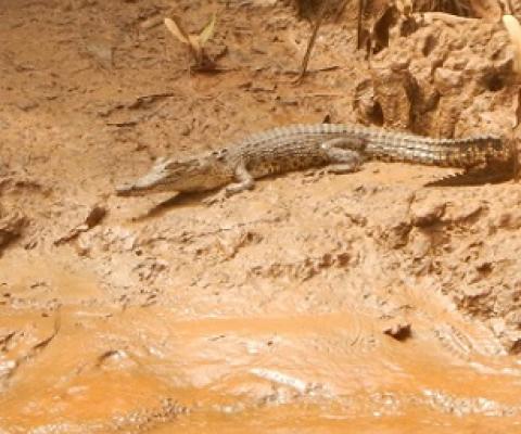 Credit - Christina Wood/WorldFish