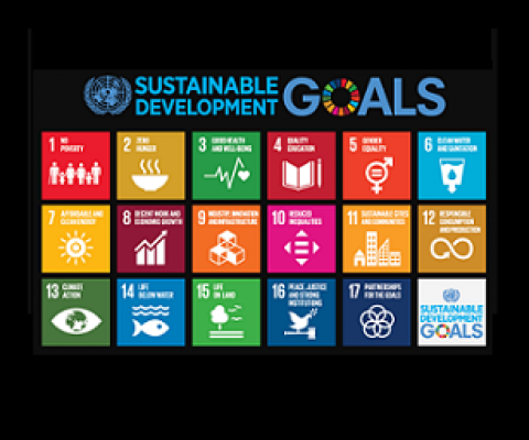UN Sustainable Development Goals. Credit - UN