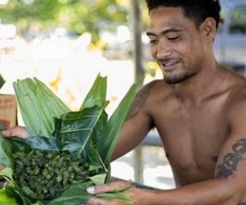 A man wraps freshly cleaned limu and sea grapes in a village on Savaii island in Samoa. Credit - Ulusapeti Tiitii 