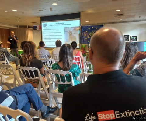 French Polynesia, birds