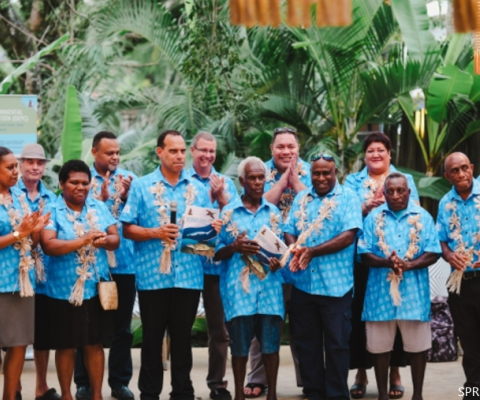 Vanuatu, Turtles, Seabirds