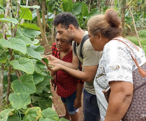 Traditional knowledge