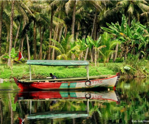 Indigenous knowledge