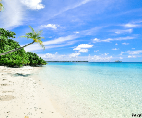 oceans and human health