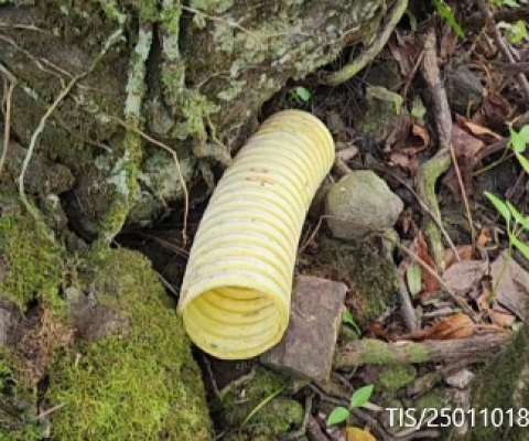 Cat removal, Cook Islands