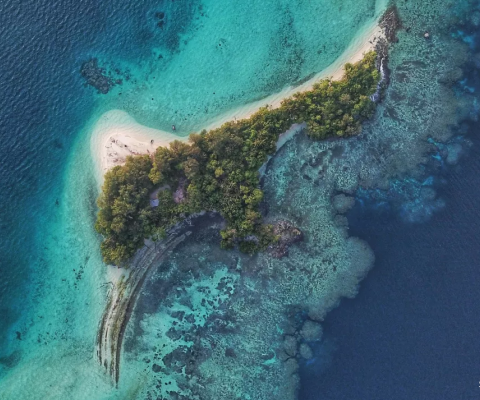 Solomon Islands, SDG 14.4