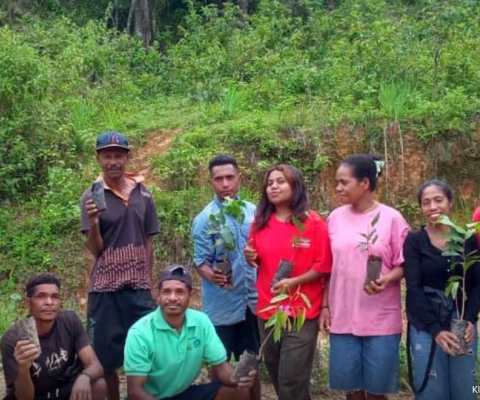 Timor Leste, restoration