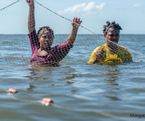 Fiji, funerary practices, MPA