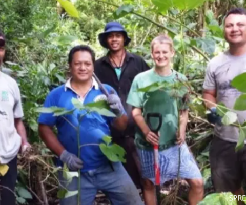 Samoa, invasive species