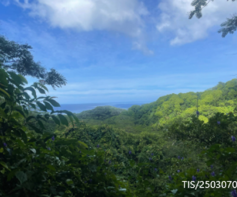 Takitumu Conservation Area