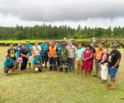 PEBACC+, Nature Based Solutions