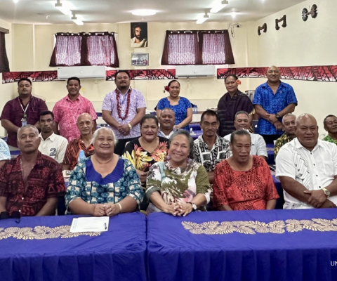 Samoa, UNDP, small grants