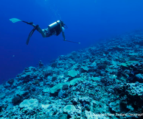 Tokelau, coral reefs