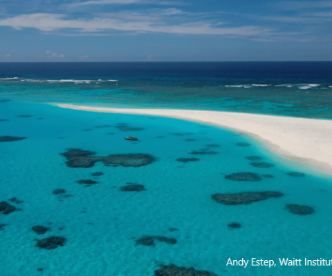 Fiji, Rotuma, marine expedition