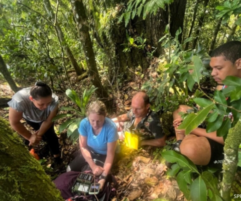 Samoa, Nu’utele Island