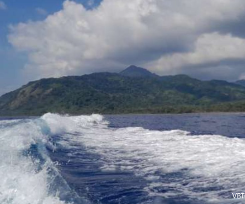 Vanuatu, Santo, Illegal fishing