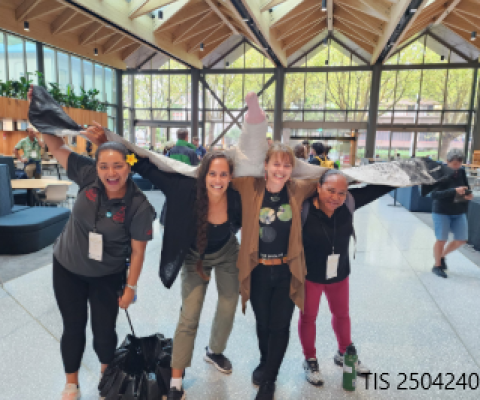 Cook Islands, seabirds