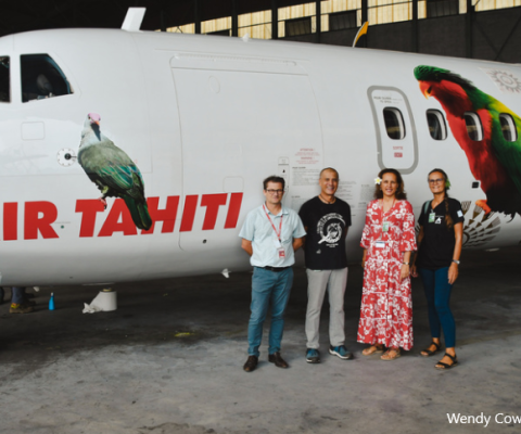 French Polynesia, endemic birds