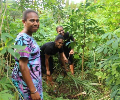 Vanuatu, restoration