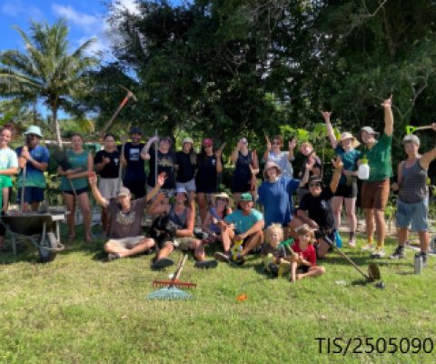 Cook Islands, Ngatoe Stream