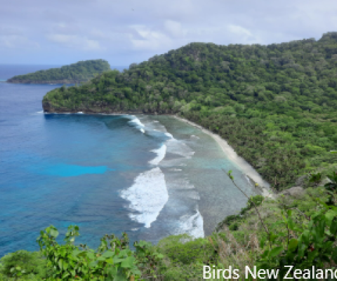 Samoa, Aleipata Islands