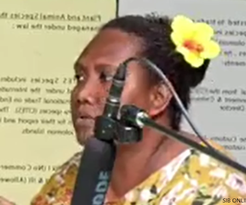 Solomon Islands, EREPA