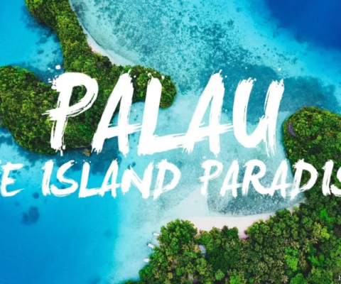 Palau, IBA
