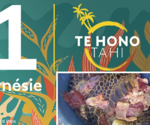 French Polynesia, turtle meat