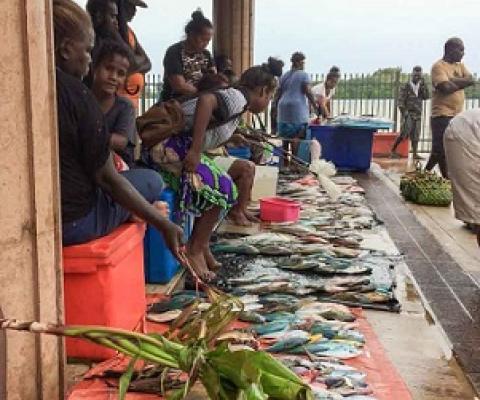 Fish for sale at the Gizo Fish Market. Photo: George J. Maelagi.