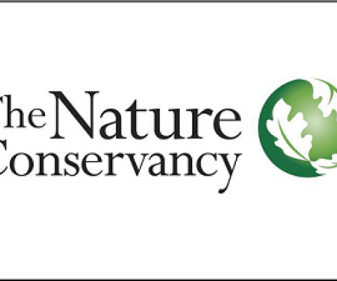 TNC logo