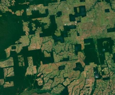 Google Earth images showing forest fragments in a deforested landscape in Rio Omerê, Rondônia, Brazil.