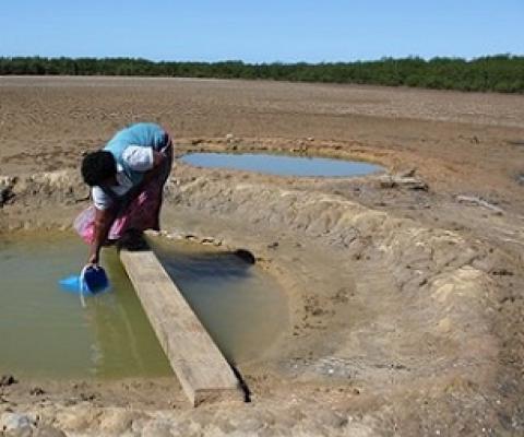 Credit - Tropical Paradise Adventures Fiji Tours and Transfers, Fiji