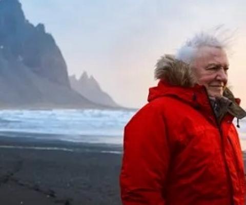 David Attenborough. Source - bbc.com