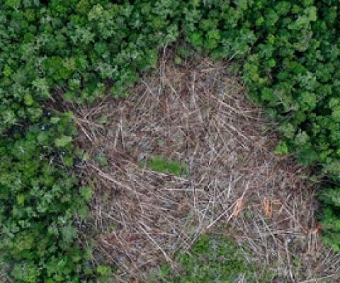 Deforestation in Borneo. Photo credit: Rhett A. Butler