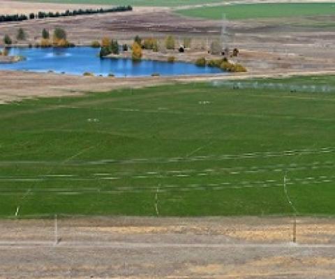  Mackenzie Basin. Credit - John Bisset/Stuff