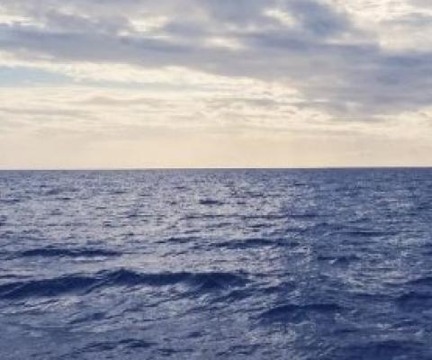 Ocean-based climate solutions are an important and overlooked pathway