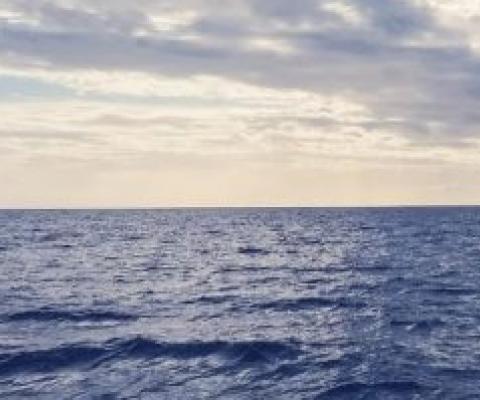 Joint Statement on the Role of a Sustainable Ocean Economy in a post-COVID-19 World