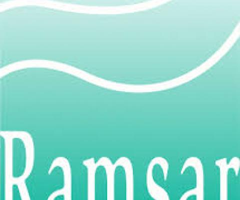Ramsar Convention Logo