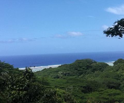 Takitumu Conservation Areas, Rarotonga. Cook Islands. Credit - National Environment Service