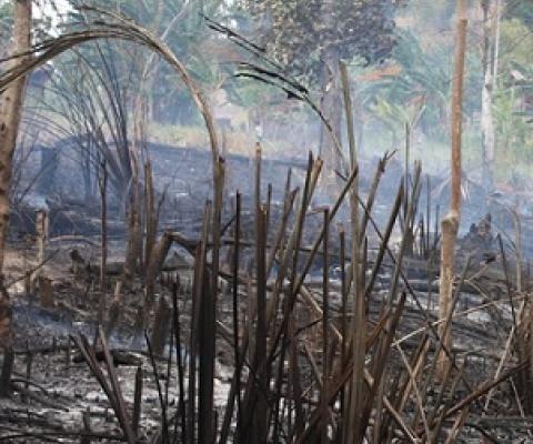 Indigenous knowledge and the persistence of the 'wilderness' myth. Credit: Wolfram Dressler